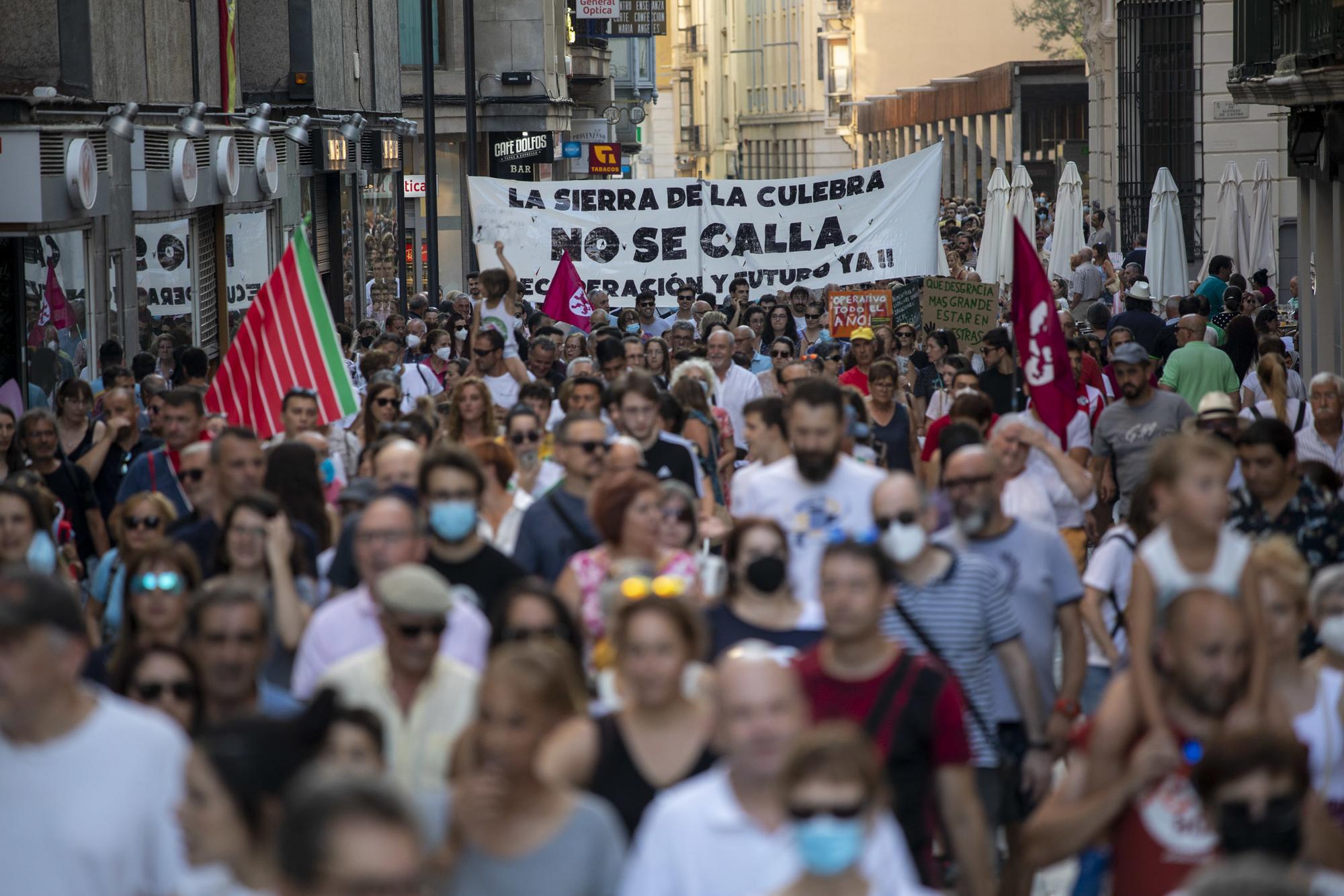 Manifestación Zamora Incendios forestales 28-07-2022 - 15